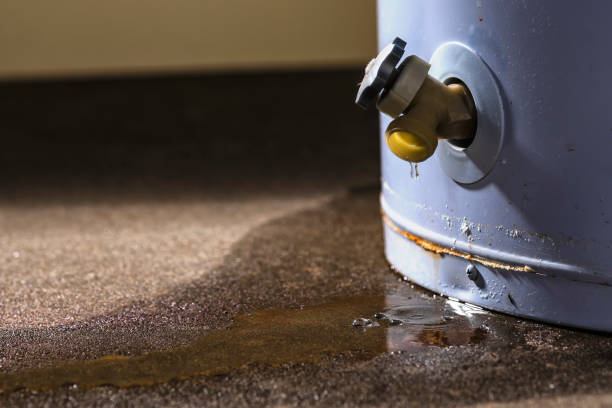 Best Flood damage cleanup  in Windsor, CA