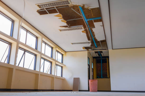  Windsor, CA Water damage restoration Pros