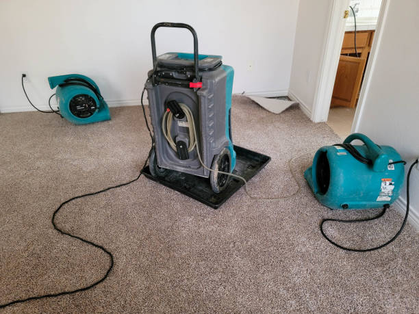 Best Professional water damage repair  in Windsor, CA