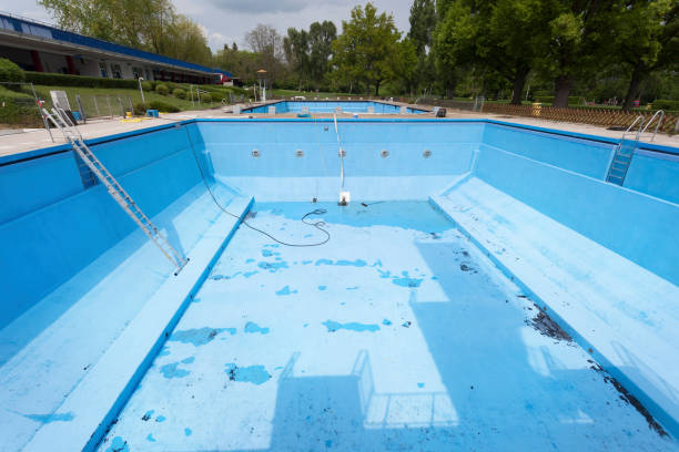 Best Mold removal after water damage  in Windsor, CA