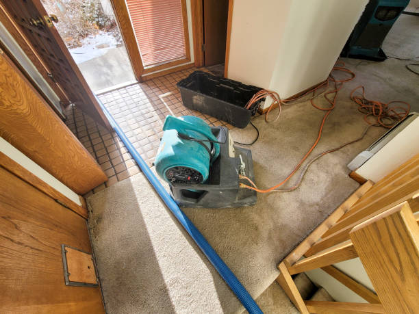 Best Residential water damage restoration  in Windsor, CA