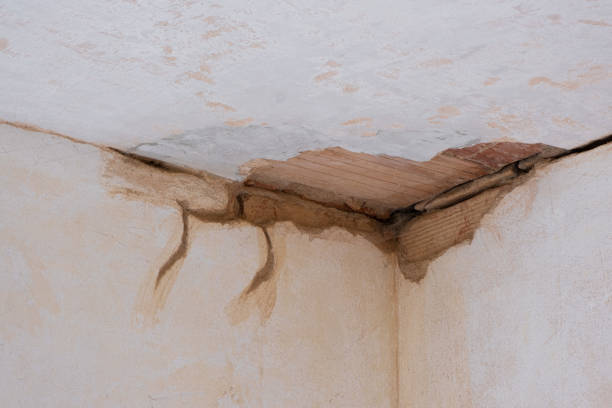 Best Water damage restoration insurance claims  in Windsor, CA