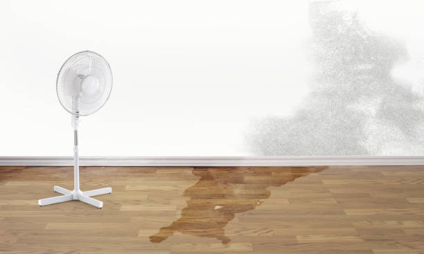 Best Basement water damage restoration  in Windsor, CA