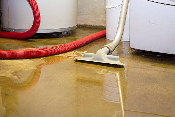 Best Local water damage restoration  in Windsor, CA