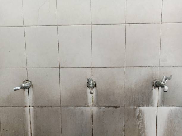 Best Ceiling water damage repair  in Windsor, CA