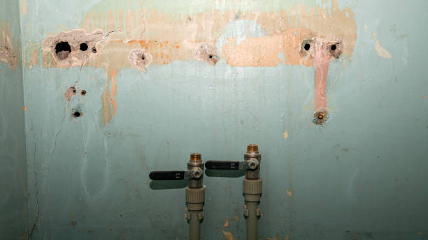 Best Carpet water damage restoration  in Windsor, CA