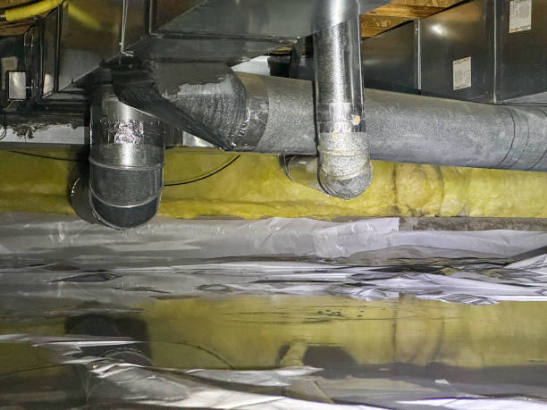 Best Fire Damage Restoration  in Windsor, CA