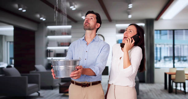Best Local water damage restoration  in Windsor, CA