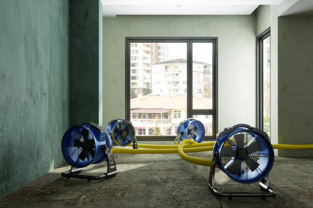 Best 24-hour water damage restoration  in Windsor, CA